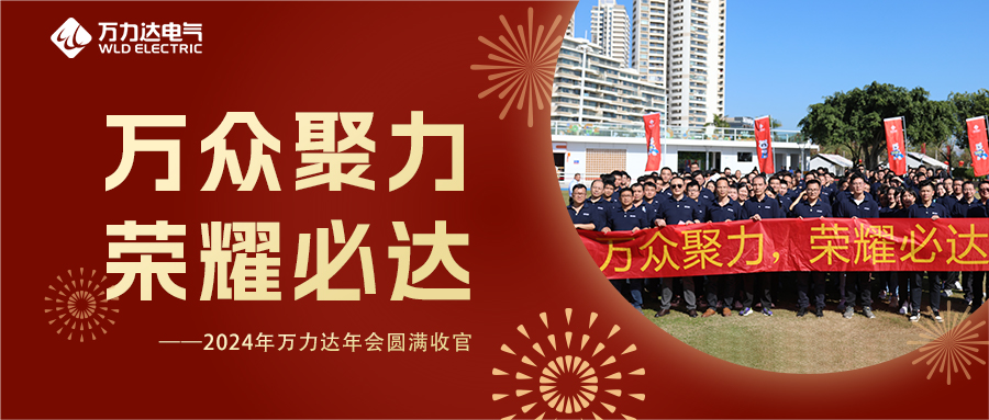 萬眾聚力 榮耀必達 | 2024年萬力達年會圓滿收官